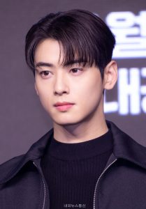 차은우 노랑통닭