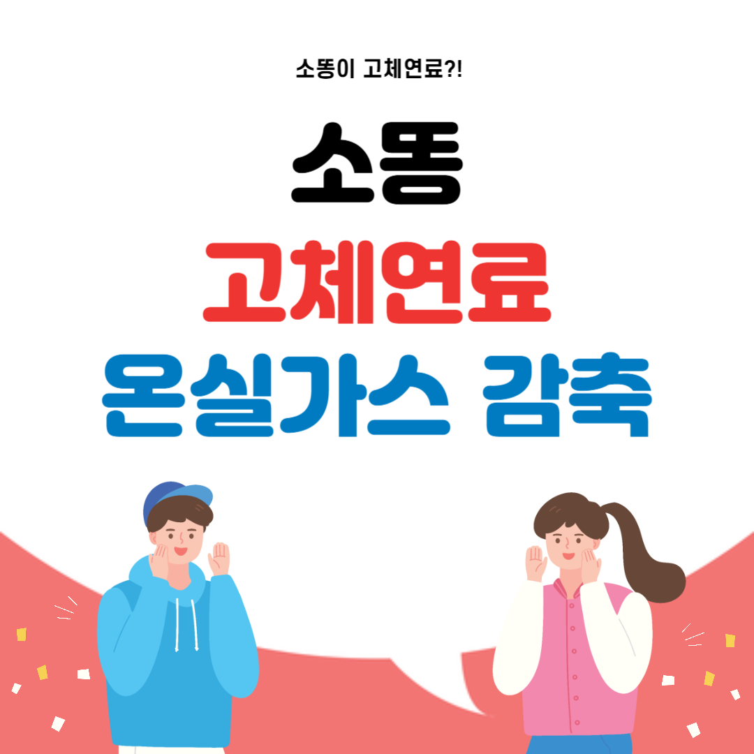 소똥 고체연료