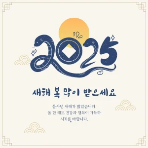 2025년 삼재띠