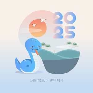 2025년 삼재띠