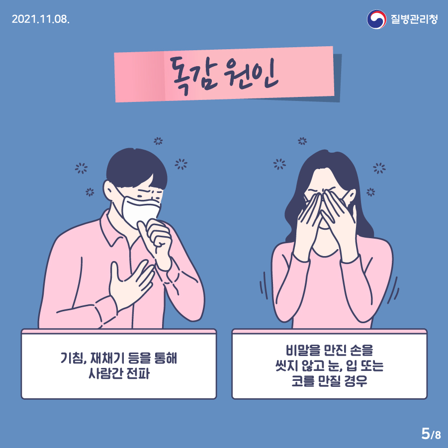 독감 검사