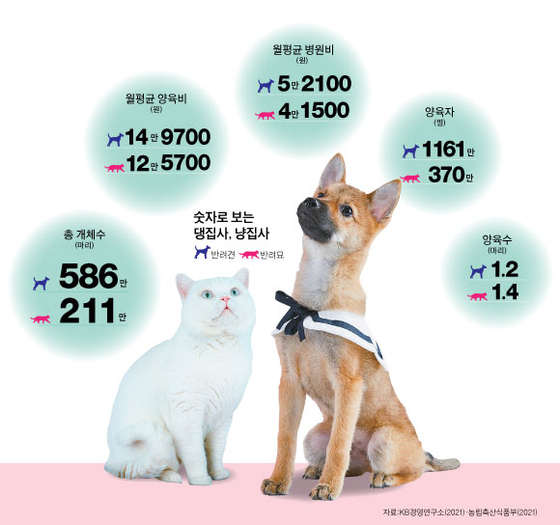 반려동물 보험