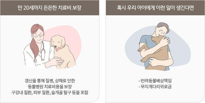 반려동물 보험