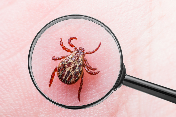 Lyme disease