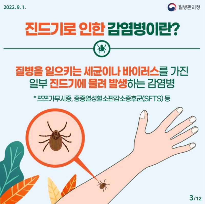 쯔쯔가무시